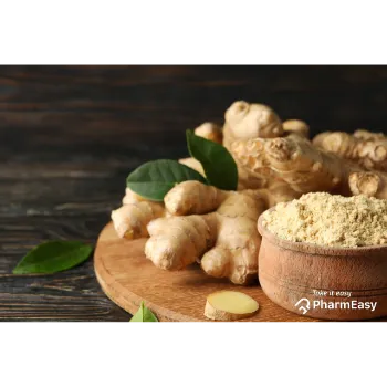 Ginger (43)-1468440-7373.webp